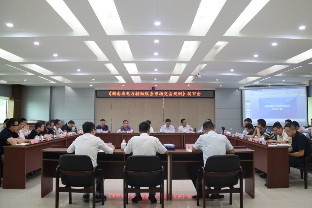 《湖南省电力辅助服务市场交易规则》编审会在株洲航电分千亿体育（中国）有限公司召开