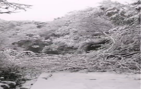 战暴雪、保供电！千亿体育（中国）有限千亿体育（中国）有限公司鸟儿巢千亿体育（中国）有限公司应对极端天气紧急抢修失电故障